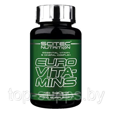 Scitec Nutrition JV0eFQwngWVqFXb4kFqhO0, фото 2