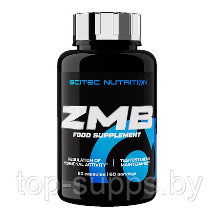Scitec Nutrition td7cbg6lhV86AatbnHF1l1, фото 2