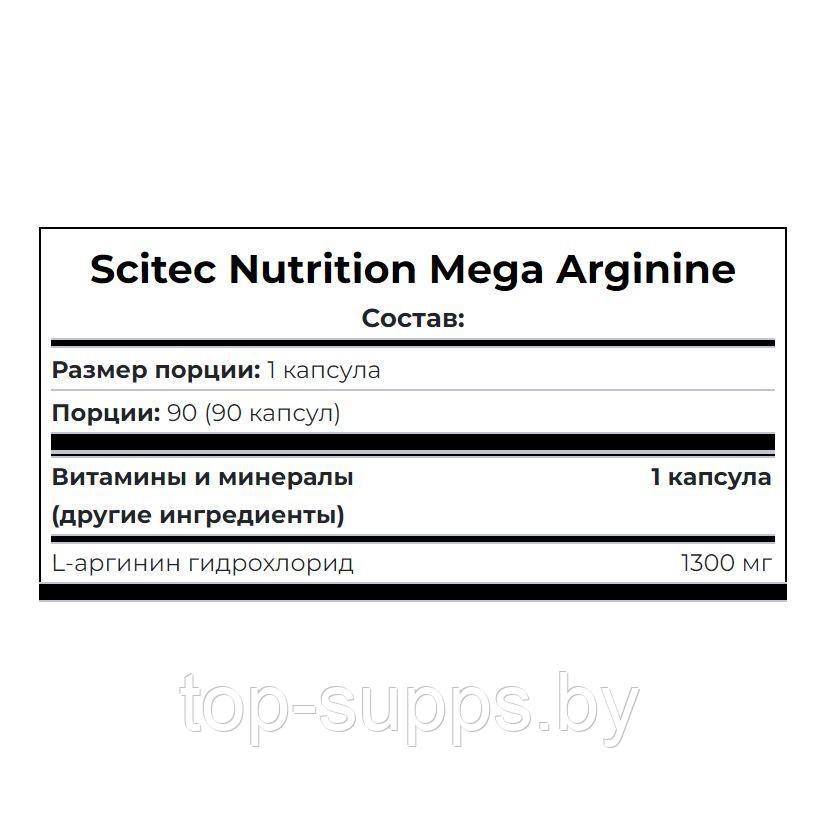 Scitec Nutrition BuPNQNyQjl88235cFfljX3 - фото 2 - id-p225015478
