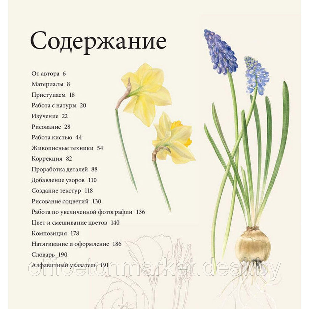 Книга "Ботанические портреты. Практическое руководство по рисованию акварелью", Билли Шоуэлл - фото 3 - id-p225015318