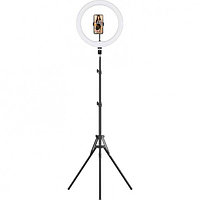 Кольцевая лампа 30.5 см Zarrumi iRing L31 (в комплекте со стойкой до 189 см)