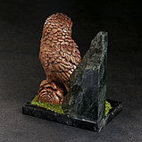 Сувенир "Сова на пне", 8х12х13 см, змеевик, гипс, фото 3