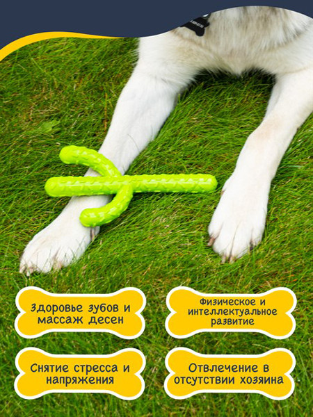 Игрушка для собак Fancy pets Кактус - фото 3 - id-p225039340