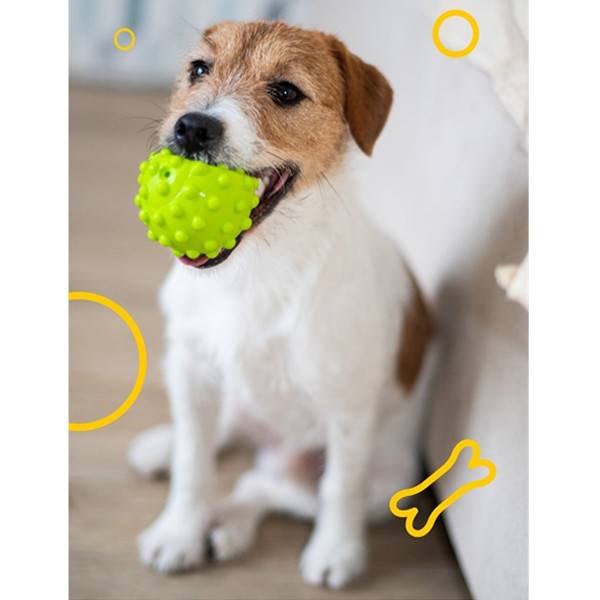 Игрушка для собак Fancy pets Мячик Ёжик - фото 3 - id-p225039350