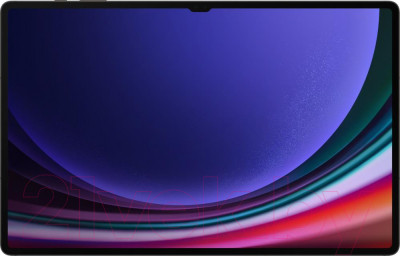 Планшет Samsung Galaxy Tab S9 Ultra 5G 12GB/256GB / SM-X916 - фото 2 - id-p225009641