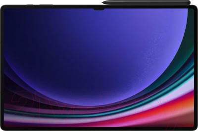 Планшет Samsung Galaxy Tab S9 Ultra 5G 12GB/256GB / SM-X916 - фото 3 - id-p225009641