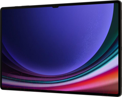 Планшет Samsung Galaxy Tab S9 Ultra 5G 12GB/256GB / SM-X916 - фото 5 - id-p225009641