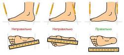 Как правильно выбрать и купить обувь