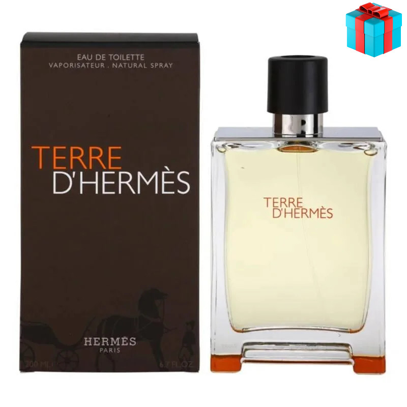 Мужские духи Hermes Terre D`Hermes 100ml - фото 1 - id-p201083578