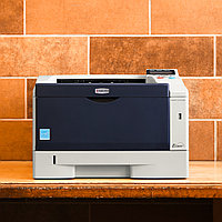 Kyocera Mita ECOSYS P2135dn