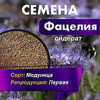 Сидерат Фацелия семена «Медуница», кг