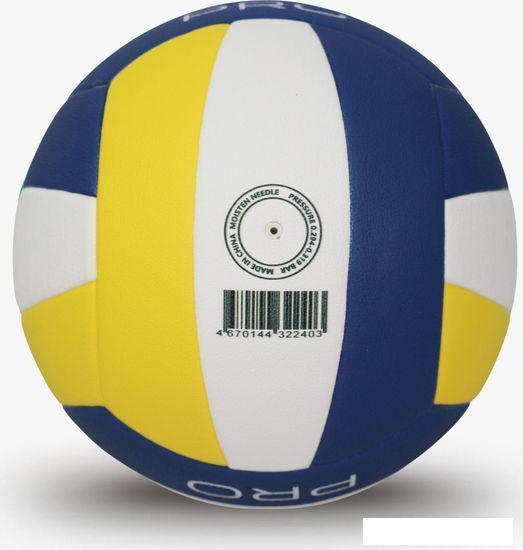 Волейбольный мяч Ingame Pro MS-912 (5 размер, белый/синий/желтый) - фото 3 - id-p224841770