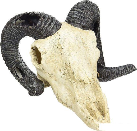 Декорация Lucky Reptile Skull Ram DS-R - фото 1 - id-p224843953