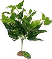 Искусственное растение Lucky Reptile Scindapsus Green IF-34