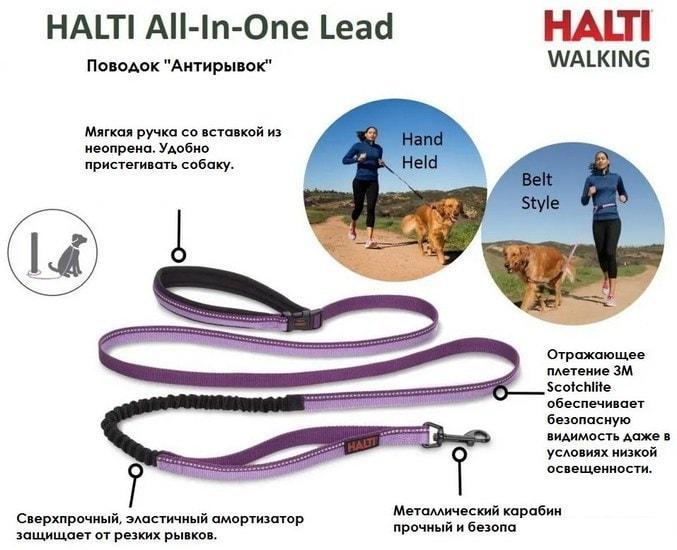 Поводок Halti All-In-One Lead (фиолетовый) - фото 2 - id-p224844045