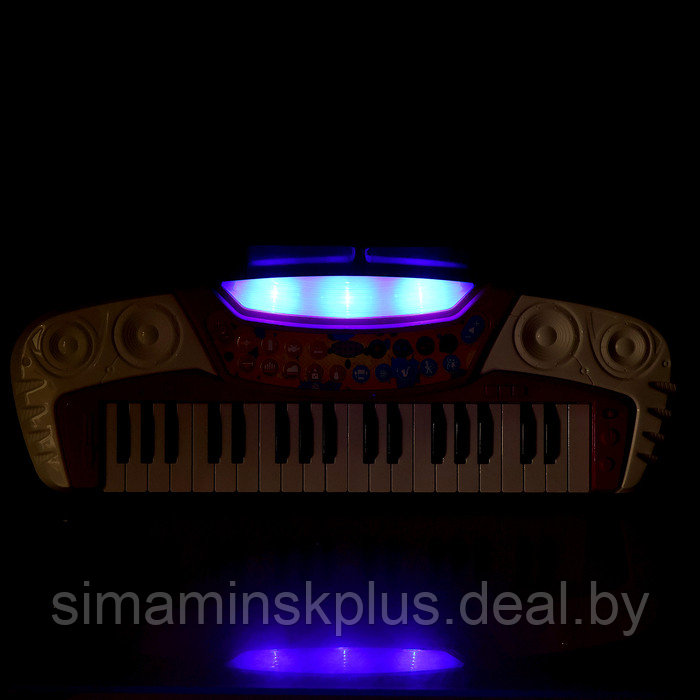 Синтезатор «Музыкальный мир», световые, звуковые эффекты - фото 8 - id-p225061908