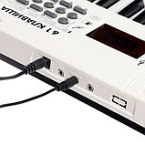 Синтезатор детский «Клавишник», звуковые эффекты, 61 клавиша, фото 5