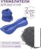 Комплект утяжелителей Indigo SM-402 (2x2.0 кг, голубой) - фото 1 - id-p224841433