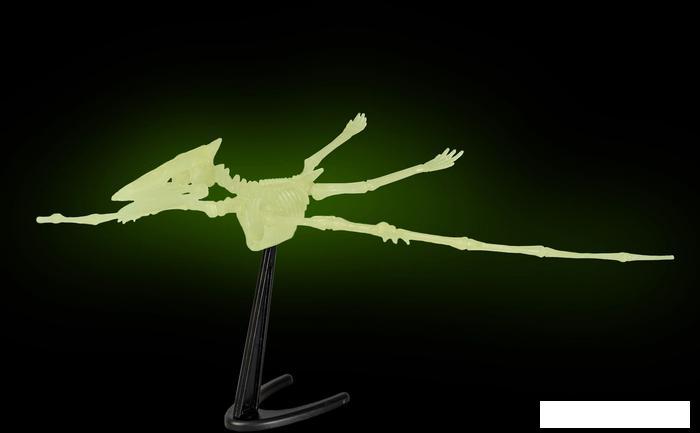 Набор для опытов Bondibon Динозавр. Птерозавр ВВ5146 - фото 7 - id-p224868624