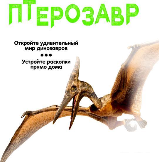 Набор для опытов Bondibon Динозавр. Птерозавр ВВ5146 - фото 9 - id-p224868624
