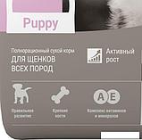 Сухой корм для собак Darsi Puppy All Breeds (индейка) 10 кг, фото 4