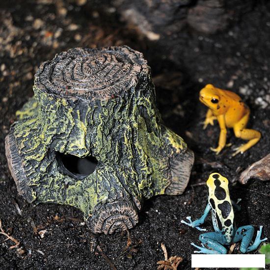 Декорация Lucky Reptile Frog Cave FC-1 - фото 2 - id-p224842324