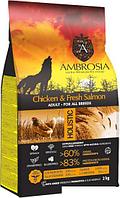 Сухой корм для собак Ambrosia Adult All Breeds Chicken & Fresh Salmon (для всех пород с курицей и рыбой) 2 кг