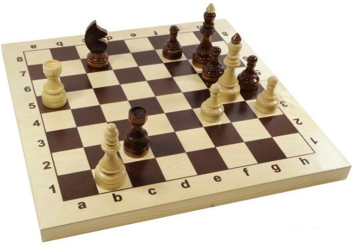 Шахматы Десятое королевство Гроссмейстерские 02846 - фото 1 - id-p224963500