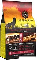 Сухой корм для собак Ambrosia Adult All Breeds Beef & Fresh Salmon (для всех пород с говядиной и лососем) 2 кг
