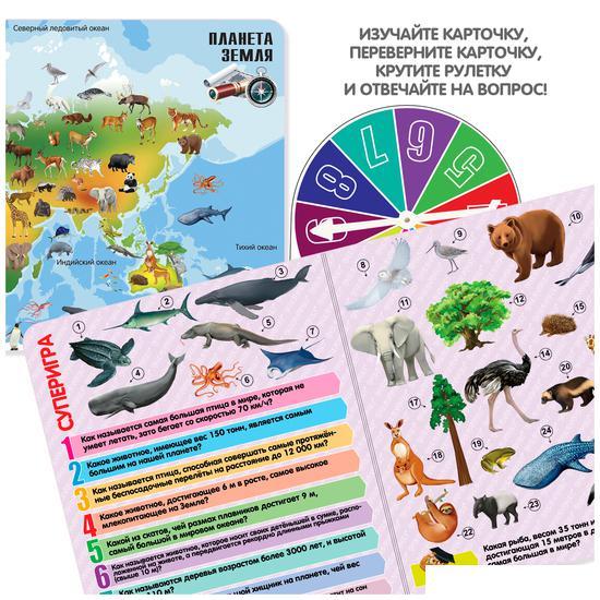 Детская настольная игра Bondibon Увлекательный мир животных и природы ВВ5551 - фото 3 - id-p224963843