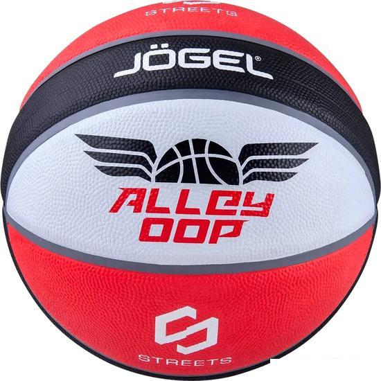 Баскетбольный мяч Jogel Streets Alley Oop (7 размер) - фото 1 - id-p224842642