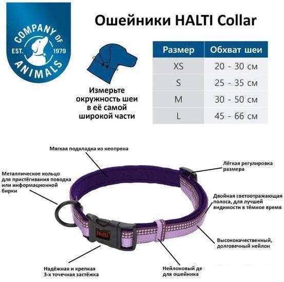 Ошейник Halti Collar M (фиолетовый) - фото 3 - id-p224843830