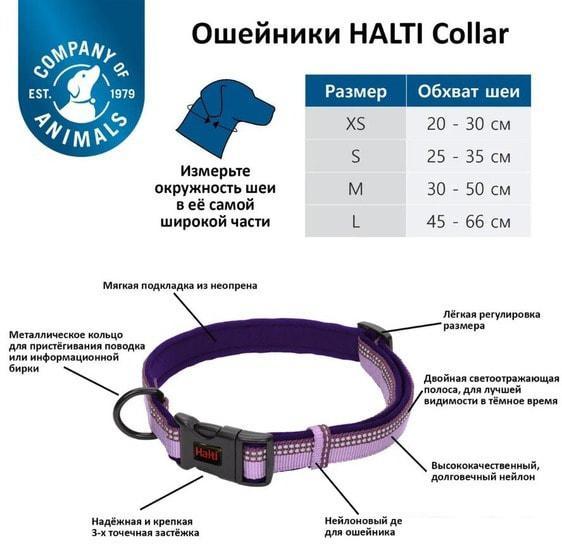 Ошейник Halti Collar L (фиолетовый) - фото 3 - id-p224843831