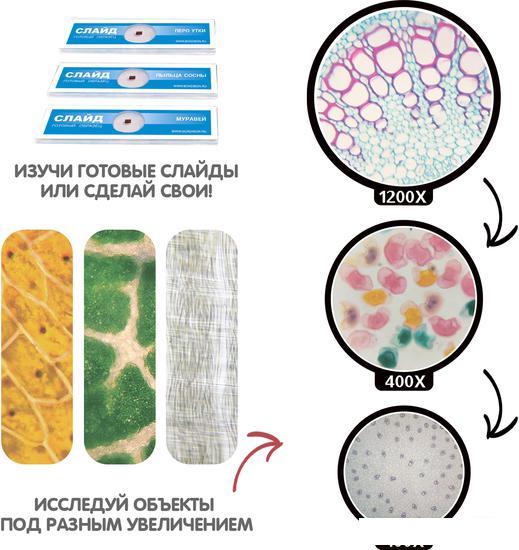 Детский микроскоп Bondibon 100-1200X для 2D и 3D объектов с поворотным окуляром ВВ5287 - фото 4 - id-p224843837