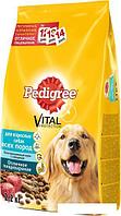 Сухой корм для собак Pedigree для взрослых собак всех пород с говядиной 13 кг