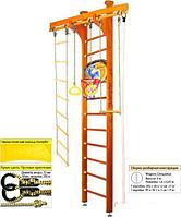 Шведская стенка (лестница) Kampfer Wooden Ladder Ceiling Basketball Shield (3 м, классический)