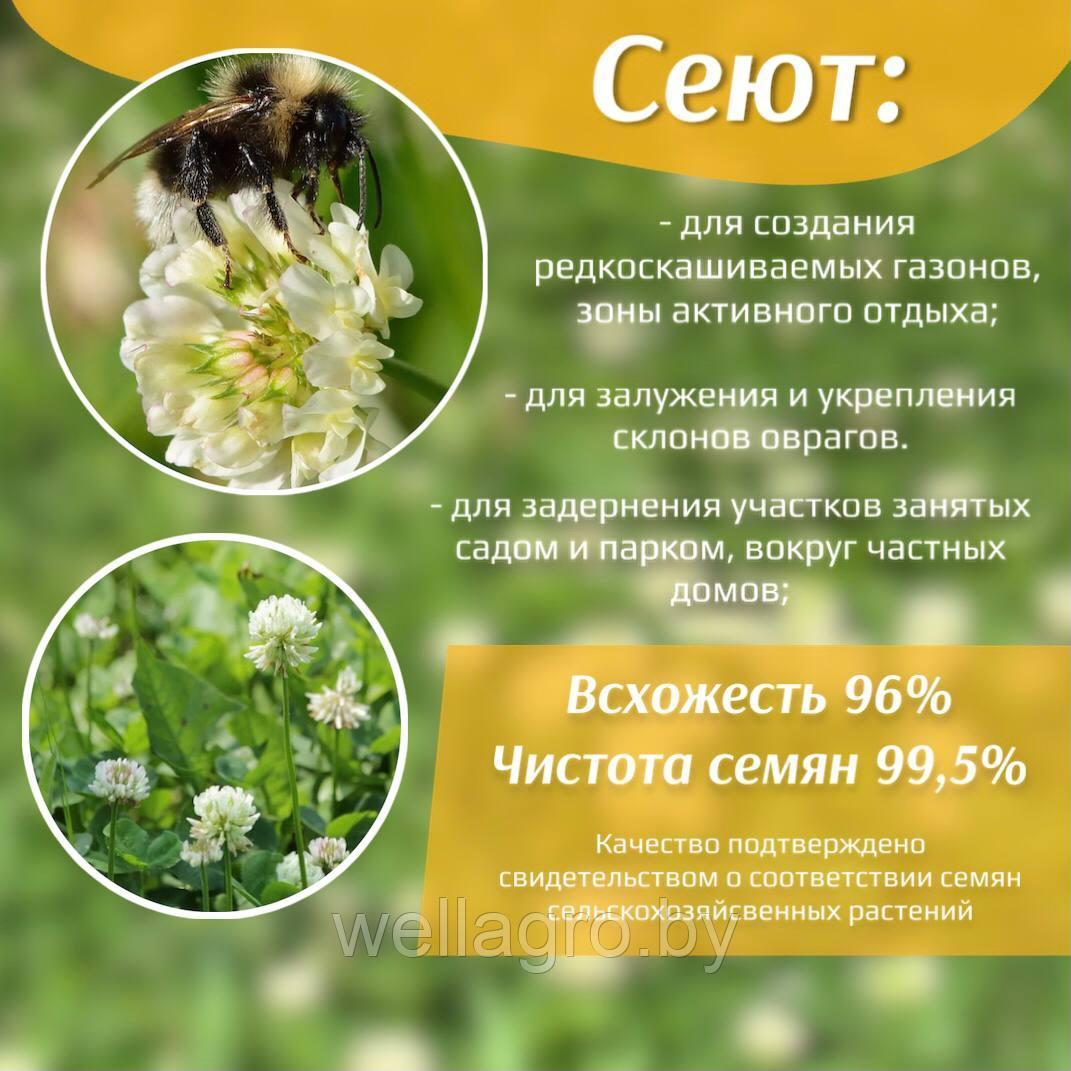 Семена Клевера Купить В Леруа