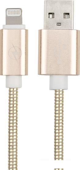 Кабель Rexant 18-4249 USB Type-C - Lighting (1 м, золотистый) - фото 3 - id-p224825136