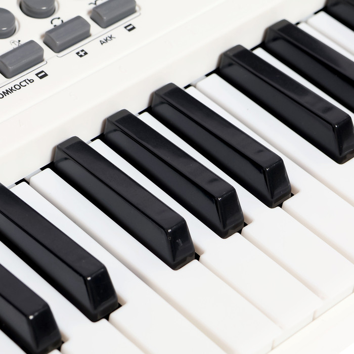 Синтезатор детский «Клавишник», звуковые эффекты, 61 клавиша - фото 4 - id-p225063849
