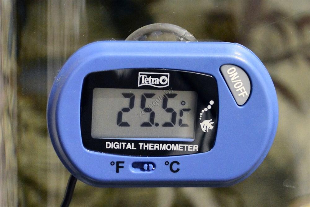 Tetra TETRA TH Digital Thermometer на батарейках - фото 2 - id-p95967770