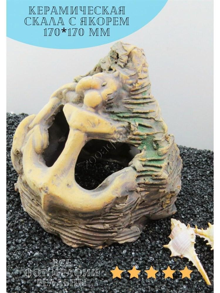 ZooAqua Декорация для аквариума №205, авторская керамика - фото 2 - id-p225067430