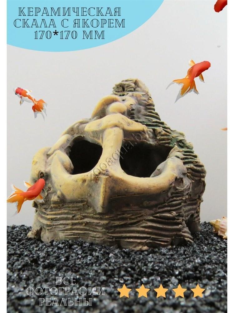 ZooAqua Декорация для аквариума №205, авторская керамика - фото 4 - id-p225067430