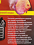 VladOx VladOx Фильтрующий синтепон PREMIUM M 38х25см (3 листа), фото 2