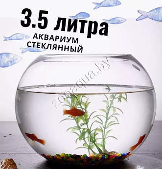 ZooAqua Аквариум круглый плоскодонный 3.5 л.