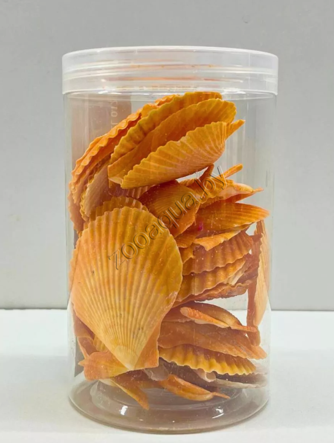Barbus Shell012 Набор морских раковин в банке 800мл/300-400гр - фото 1 - id-p225067522
