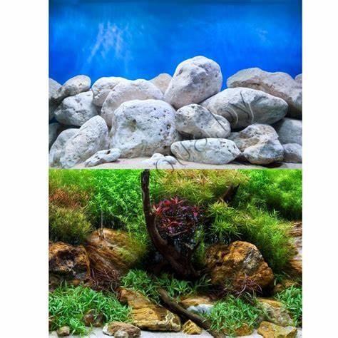 Barbus Background 065/30 (75/76) Водный сад/Яркие камни 30см - фото 2 - id-p225067527