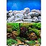 Barbus Background 065/30 (75/76) Водный сад/Яркие камни 30см, фото 2