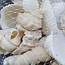 Barbus Shell 001 Набор морских раковин в сеточке 200 гр ФРУКТЫ МОРЯ МИКС, фото 4