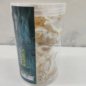 Barbus Shell 007 Набор морских раковин в банке 800мл300-400гр , 5-8,5 см