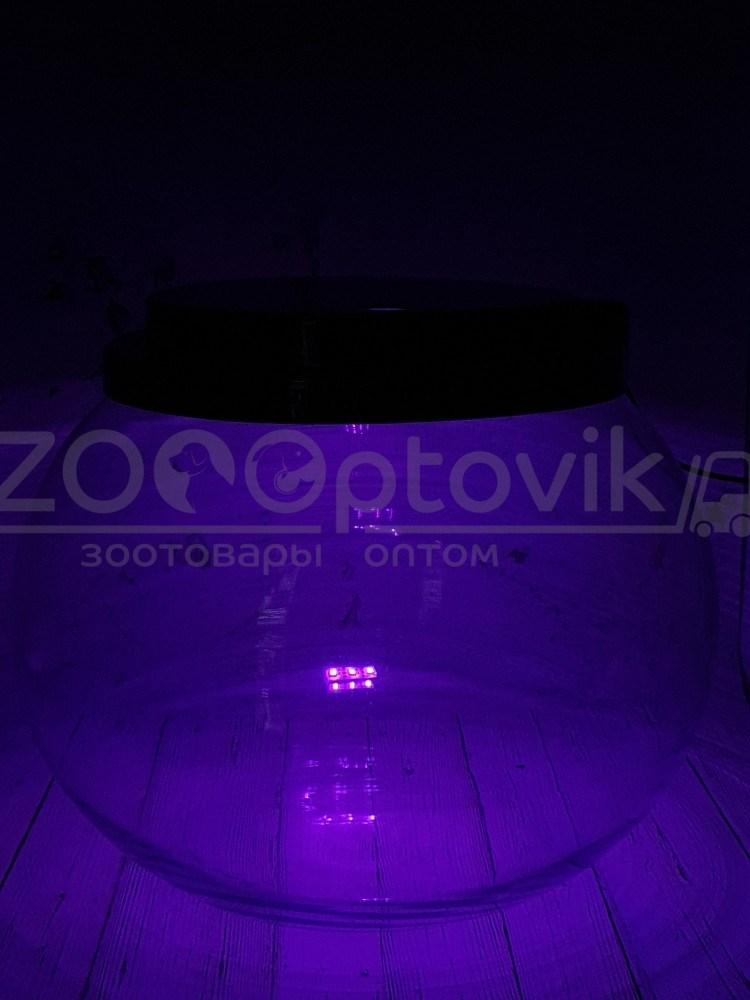 ZooAqua Графитовая крышка для аквариума 12 литров с Led светильником - фото 8 - id-p225067221